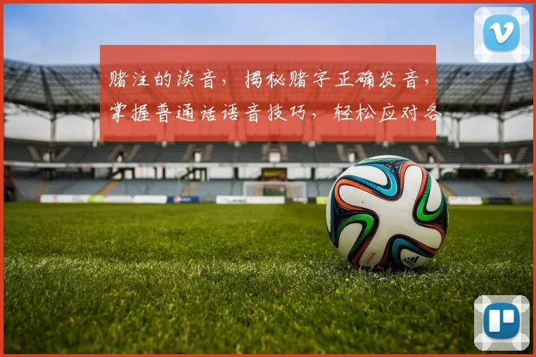 赌注的读音，揭秘赌字正确发音，掌握普通话语音技巧，轻松应对各类场合交流