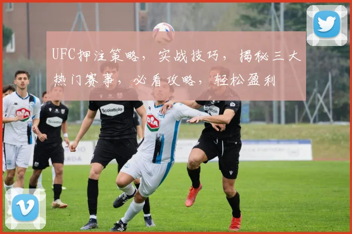 UFC押注策略，实战技巧，揭秘三大热门赛事，必看攻略，轻松盈利