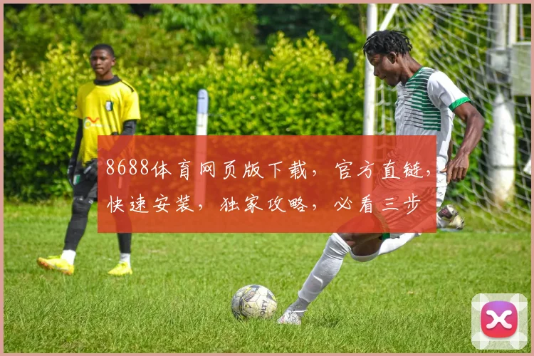 8688体育网页版下载，官方直链，快速安装，独家攻略，必看三步